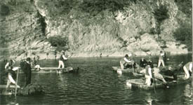 hist�ria pltn�ctva